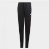 Adidas Pantaloni | Adidas Gn1464 Black