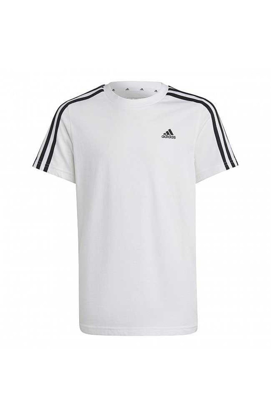 Adidas T-Shirt | Adidas Ic0605 White